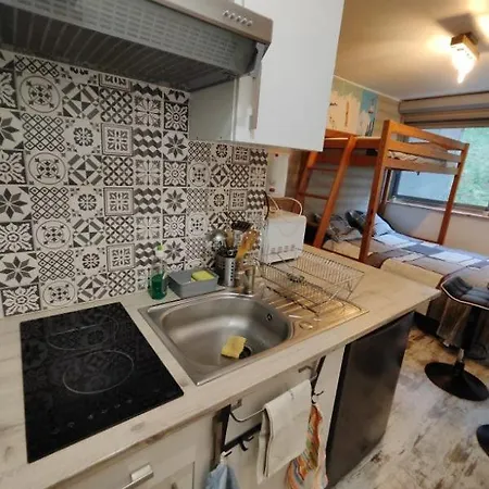 Appartamento à Super 800m Des Pistes Besse-et-Saint-Anastaise